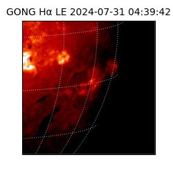 gong - 2024-07-31T04:39:42