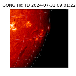 gong - 2024-07-31T09:01:22