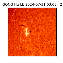 gong - 2024-07-31T03:03:42