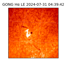 gong - 2024-07-31T04:39:42