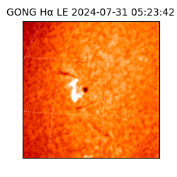 gong - 2024-07-31T05:23:42