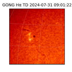 gong - 2024-07-31T09:01:22