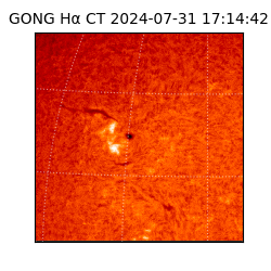 gong - 2024-07-31T17:14:42