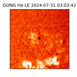 gong - 2024-07-31T03:03:42