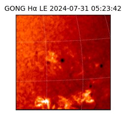 gong - 2024-07-31T05:23:42