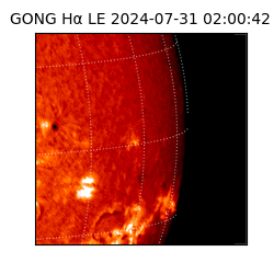 gong - 2024-07-31T02:00:42