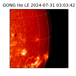 gong - 2024-07-31T03:03:42