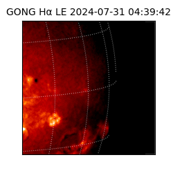 gong - 2024-07-31T04:39:42