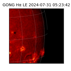 gong - 2024-07-31T05:23:42