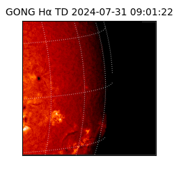 gong - 2024-07-31T09:01:22