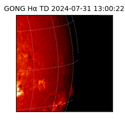 gong - 2024-07-31T13:00:22