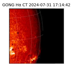 gong - 2024-07-31T17:14:42