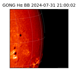 gong - 2024-07-31T21:00:02