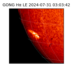 gong - 2024-07-31T03:03:42
