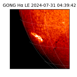 gong - 2024-07-31T04:39:42