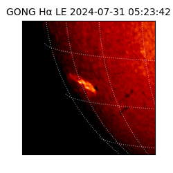 gong - 2024-07-31T05:23:42