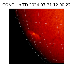 gong - 2024-07-31T12:00:22