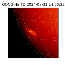 gong - 2024-07-31T14:00:22