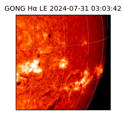 gong - 2024-07-31T03:03:42