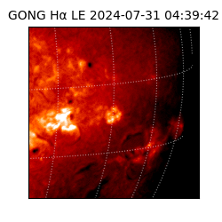 gong - 2024-07-31T04:39:42