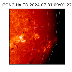 gong - 2024-07-31T09:01:22