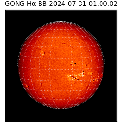 gong - 2024-07-31T01:00:02