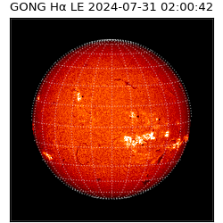 gong - 2024-07-31T02:00:42