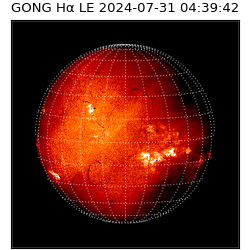 gong - 2024-07-31T04:39:42