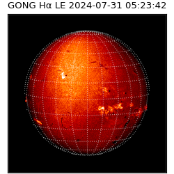 gong - 2024-07-31T05:23:42