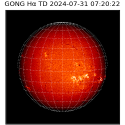gong - 2024-07-31T07:20:22