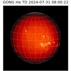 gong - 2024-07-31T08:00:22