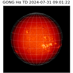 gong - 2024-07-31T09:01:22