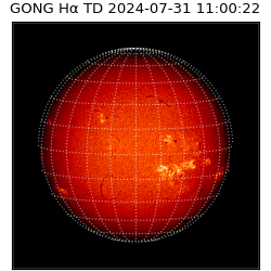 gong - 2024-07-31T11:00:22