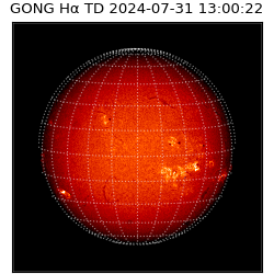 gong - 2024-07-31T13:00:22