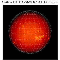 gong - 2024-07-31T14:00:22