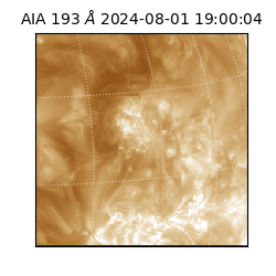 saia - 2024-08-01T19:00:04.843000