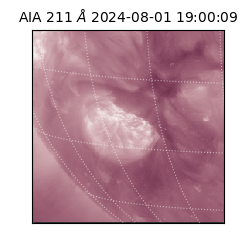 saia - 2024-08-01T19:00:09.630000