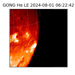 gong - 2024-08-01T06:22:42