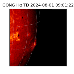 gong - 2024-08-01T09:01:22