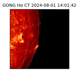 gong - 2024-08-01T14:01:42