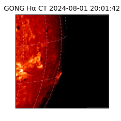 gong - 2024-08-01T20:01:42