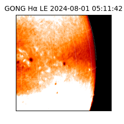 gong - 2024-08-01T05:11:42