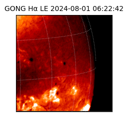 gong - 2024-08-01T06:22:42