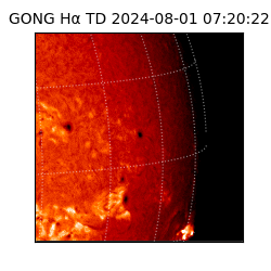 gong - 2024-08-01T07:20:22