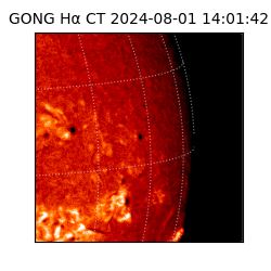 gong - 2024-08-01T14:01:42