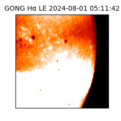 gong - 2024-08-01T05:11:42