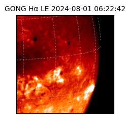 gong - 2024-08-01T06:22:42