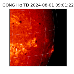 gong - 2024-08-01T09:01:22