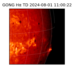 gong - 2024-08-01T11:00:22