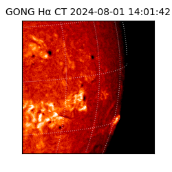 gong - 2024-08-01T14:01:42